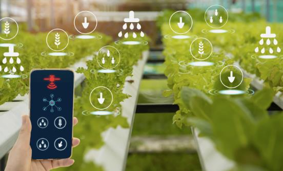 2026智慧农业行业市场分析：需求释放与结构升级的共振